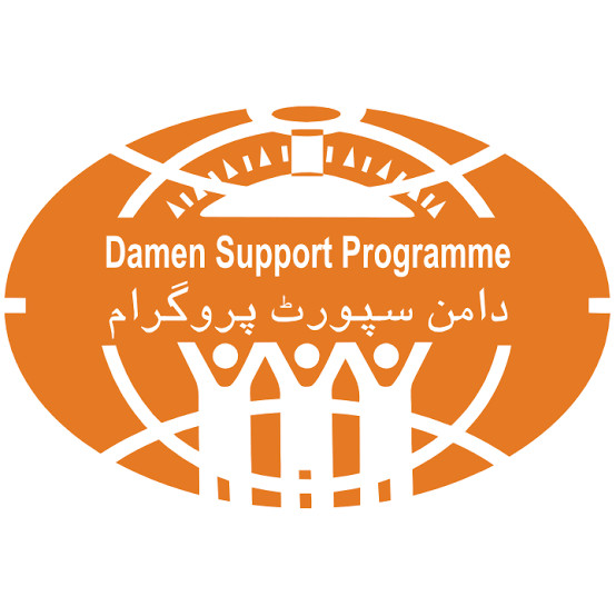 Damen Support Programme Logo